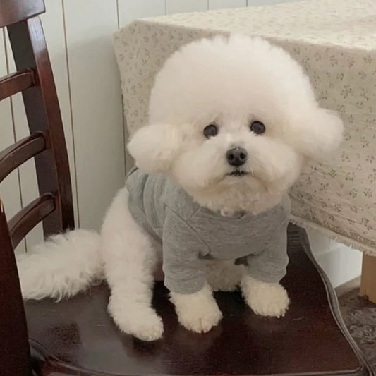 Letter Print Pet Hoodie – Soft Warm Pullover for Dogs & Cats