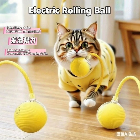 Automatic Interactive Pet Ball – Self-Entertaining Chase Toy