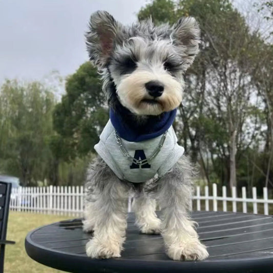 Soft Winter Dog Hoodie – Warm Sweatshirt for Small & Medium Dogs