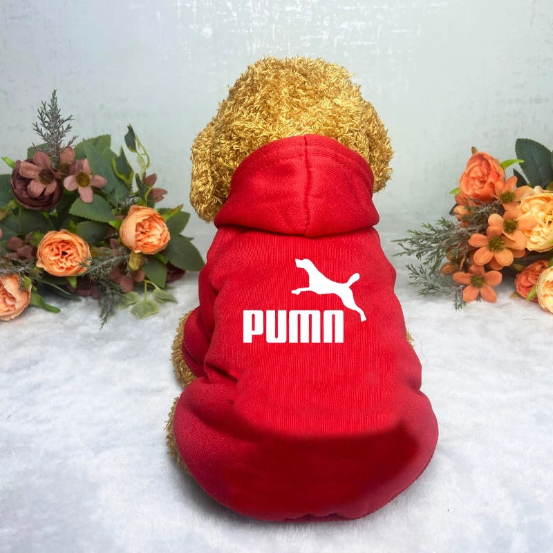Sport Style Pet Hoodie β Warm Casual Sweatshirt for Dogs & Cats