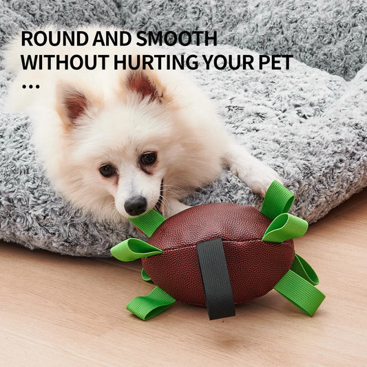 Interactive Football Dog Toy โ Tug, Fetch & Water Play