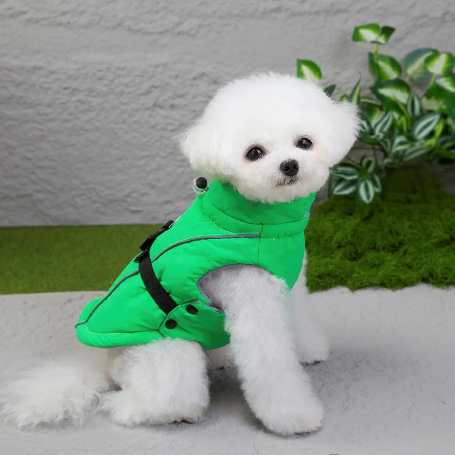 Waterproof Winter Pet Vest with D-Ring β Warm Jacket for Dogs & Cats