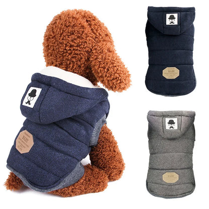 Warm Padded Pet Winter Coat – Cozy Jacket for Dogs & Cats