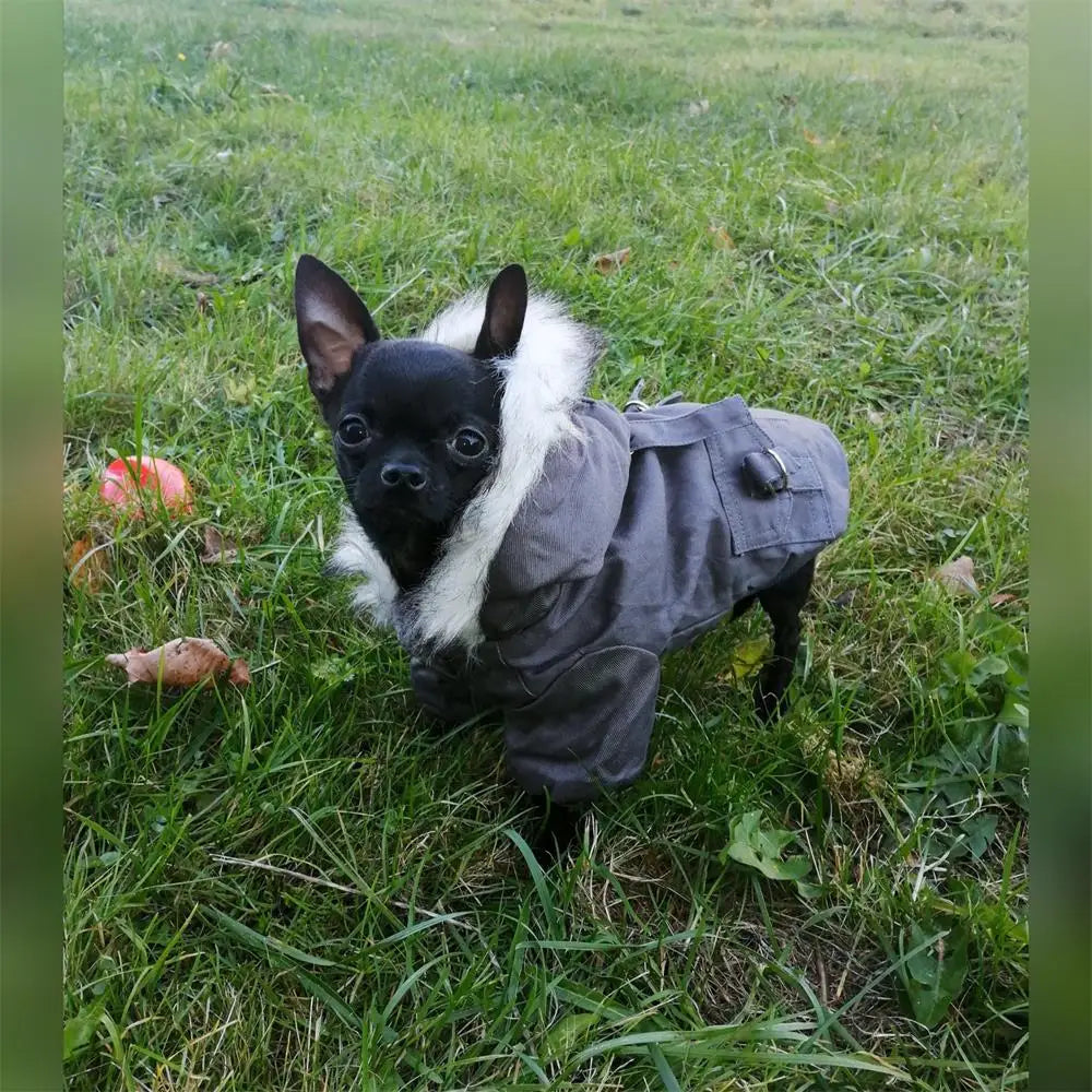 Thick Cotton Pet Winter Jacket – Warm Hoodie Coat for Dogs & Cats