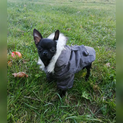 Thick Cotton Pet Winter Jacket – Warm Hoodie Coat for Dogs & Cats