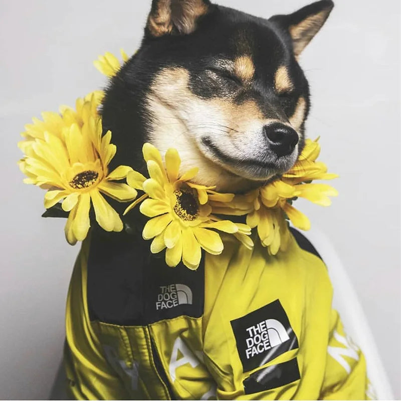 Dog Face Print Waterproof Jacket – Windproof Hooded Raincoat for Small to Large Dogs