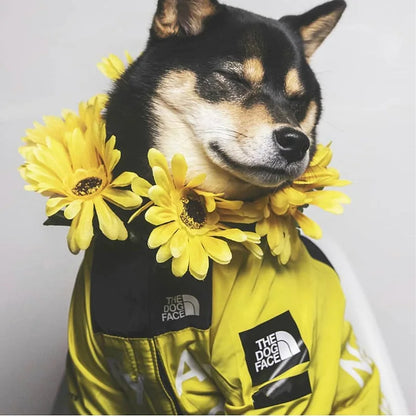 Dog Face Print Waterproof Jacket – Windproof Hooded Raincoat for Small to Large Dogs