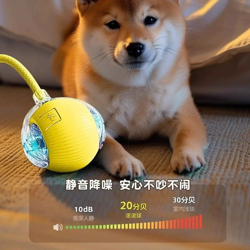 Automatic Interactive Pet Ball – Self-Entertaining Chase Toy