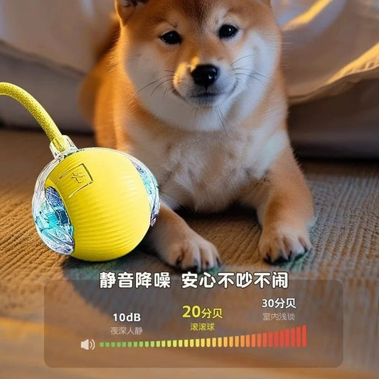 Automatic Interactive Pet Ball – Self-Entertaining Chase Toy