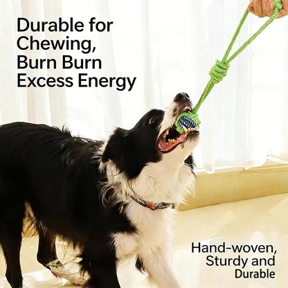 Interactive Cotton Rope Dog Ball – Dental Chew & Tug Toy