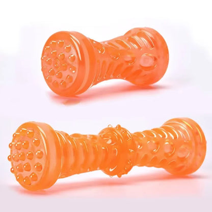 Bite-Resistant Toothbrush Bone – Dental Chew Dog Toy