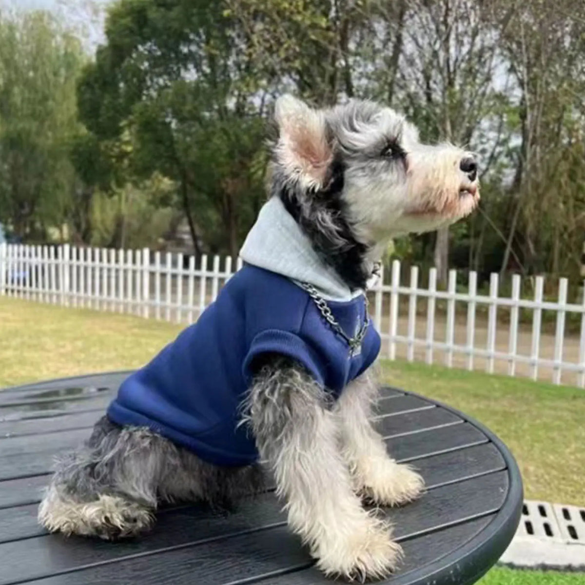 Soft Winter Dog Hoodie – Warm Sweatshirt for Small & Medium Dogs