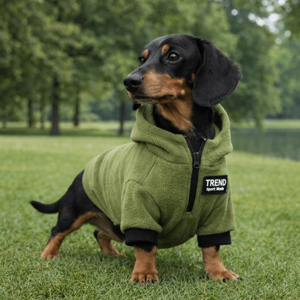 Thickened Polar Fleece Dog Hoodie – Warm Windproof Outdoor Sweater
