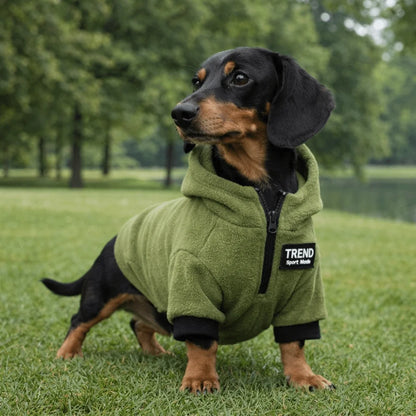 Thickened Polar Fleece Dog Hoodie – Warm Windproof Outdoor Sweater