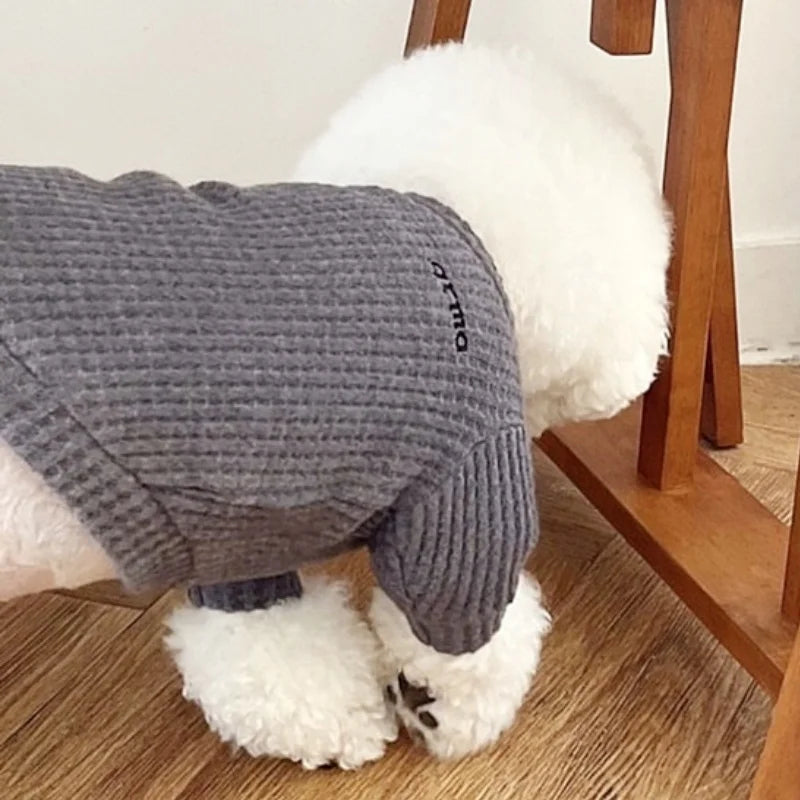 Letter Print Pet Sweatshirt – Soft Autumn Shirt for Dogs & Cats