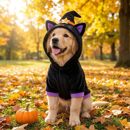 Wizard Witch Pet Costume – Halloween Hoodie & Hat Outfit for Dogs & Cats