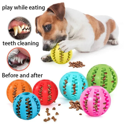 Natural Rubber Treat Ball – Tough Dental Chew Dog Toy