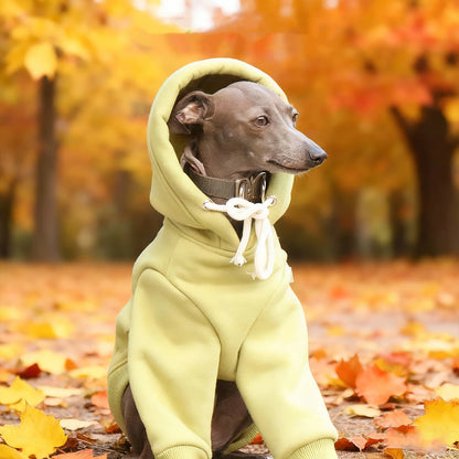 Fleece Greyhound Hoodie – Warm Long-Sleeve Winter Sweatshirt for Medium Dogs