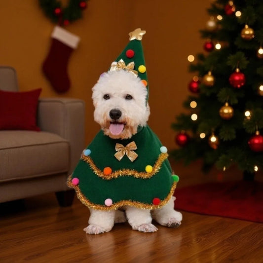 Green Christmas Pet Cloak & Hat – Festive Holiday Costume for Dogs & Cats