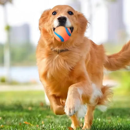 Tough Elastic Dog Fetch Ball – Durable Chew & Bounce Toy