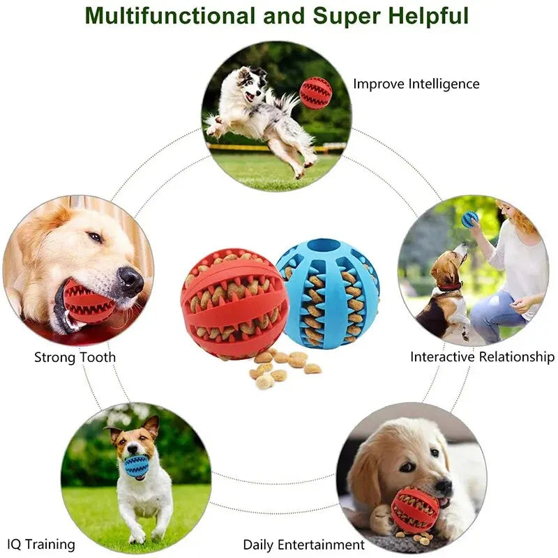Interactive Treat-Dispensing Dog Ball – Chew & Dental Toy