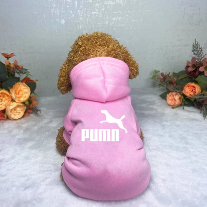 Sport Style Pet Hoodie – Warm Casual Sweatshirt for Dogs & Cats