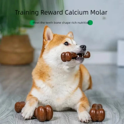 Natural Dog Bone Chew Toy – Tough Teething & Dental Toy