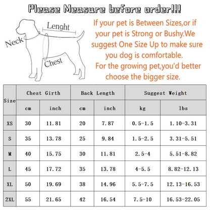 Bear Print Plaid Pet Hoodie – Cozy Autumn Sweatshirt for Dogs & Cats