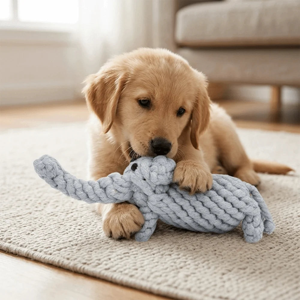 Multi-Knot Cotton Rope Dog Toy – Dental Chew & Tug Toy