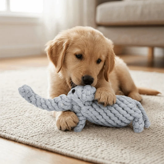 Multi-Knot Cotton Rope Dog Toy – Dental Chew & Tug Toy