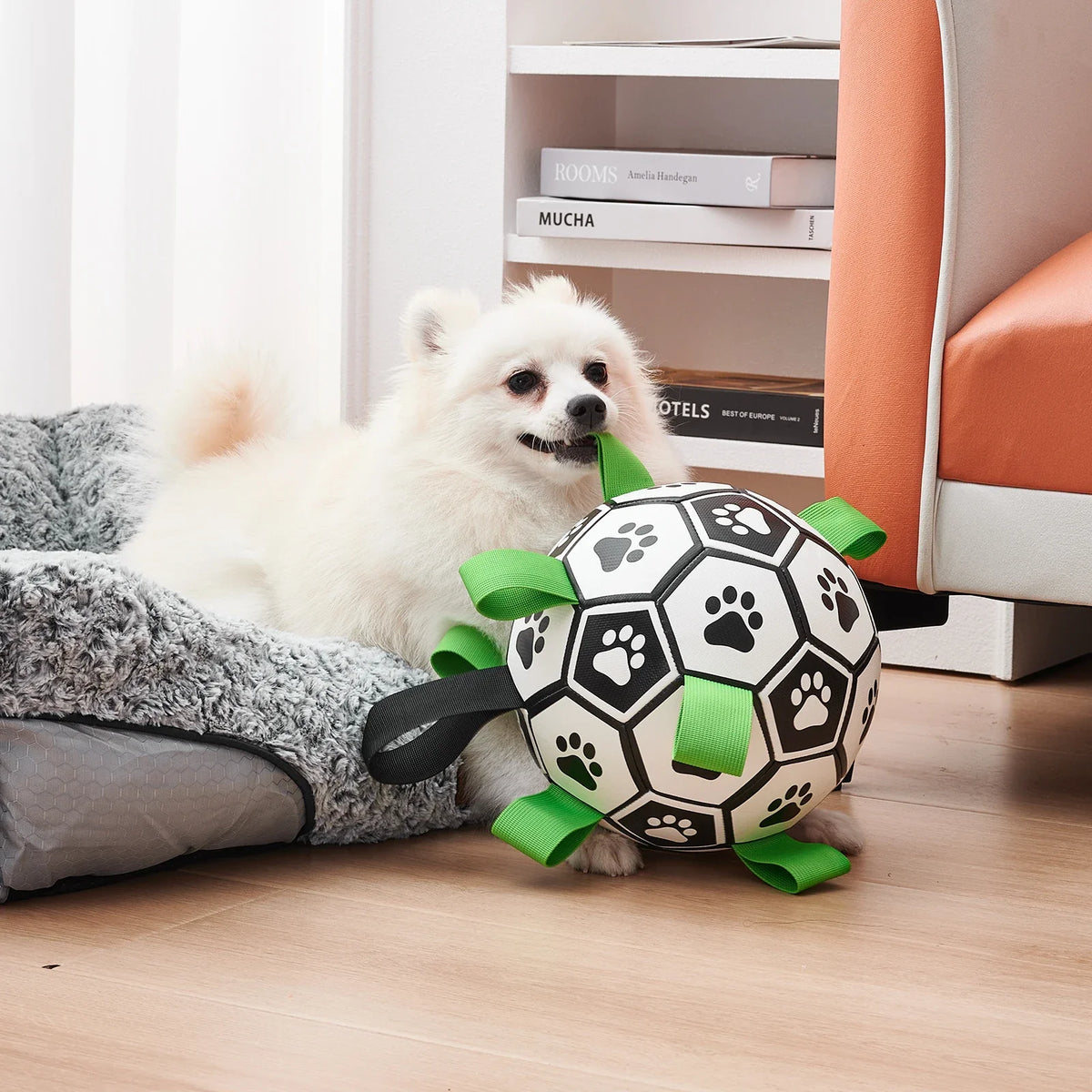 Interactive Soccer Ball Dog Toy – Tug, Chase & Fetch Fun