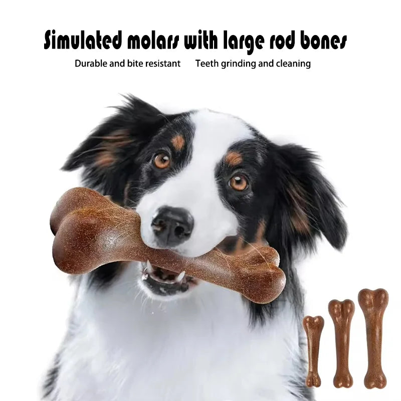 Tough Dog Bone Chew Toy – Dental & Teething Play