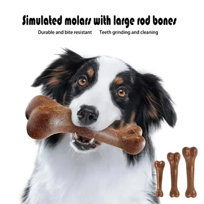 Tough Dog Bone Chew Toy – Dental & Teething Play