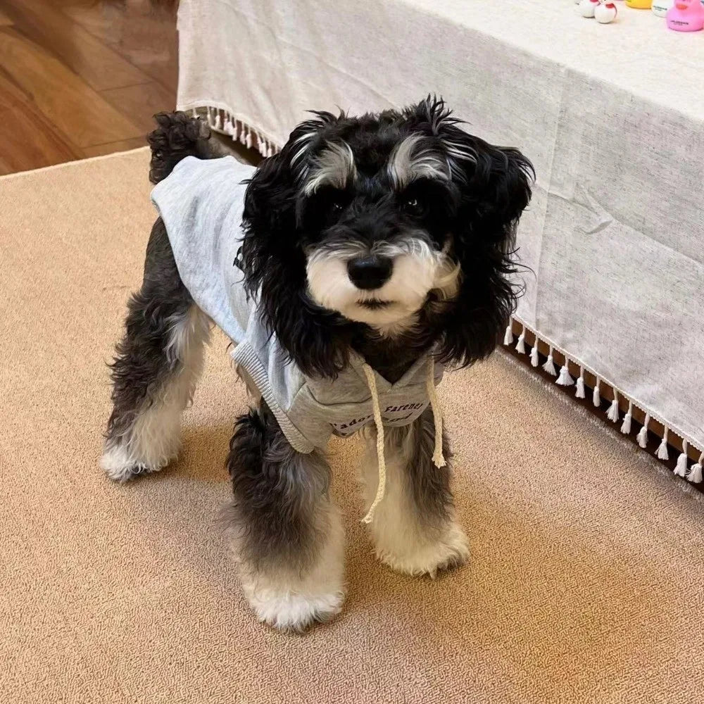 Letter Print Sleeveless Dog Hoodie – Soft Drawstring Pullover for Small Dogs