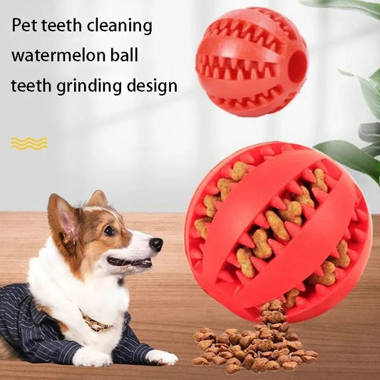Natural Rubber Treat Ball – Tough Dental Chew Dog Toy
