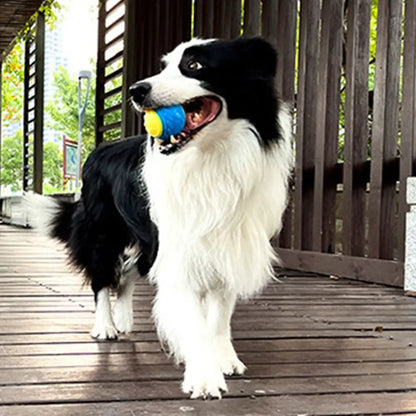 Interactive Squeaky Dog Ball – Dental Chew & Play Toy