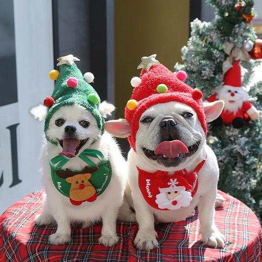 Funny Christmas Pet Hat & Bandana – Santa Cosplay Costume