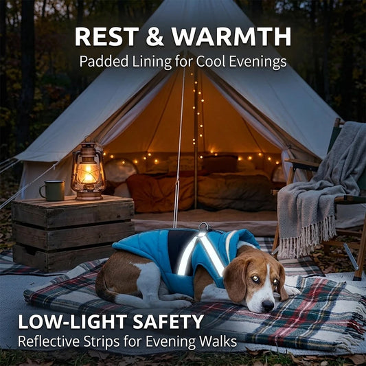 Reflective Padded Pet Winter Coat – Windproof Jacket with Harness for Dogs & Cats