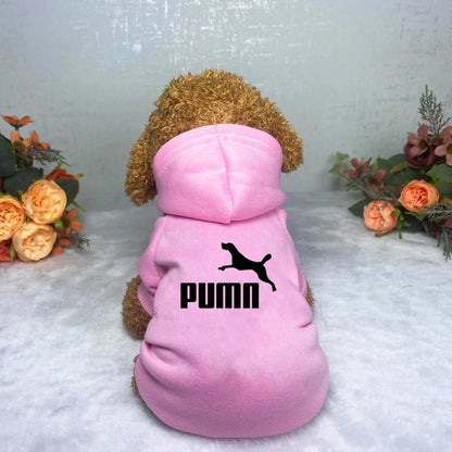 Sport Style Pet Hoodie – Warm Casual Sweatshirt for Dogs & Cats