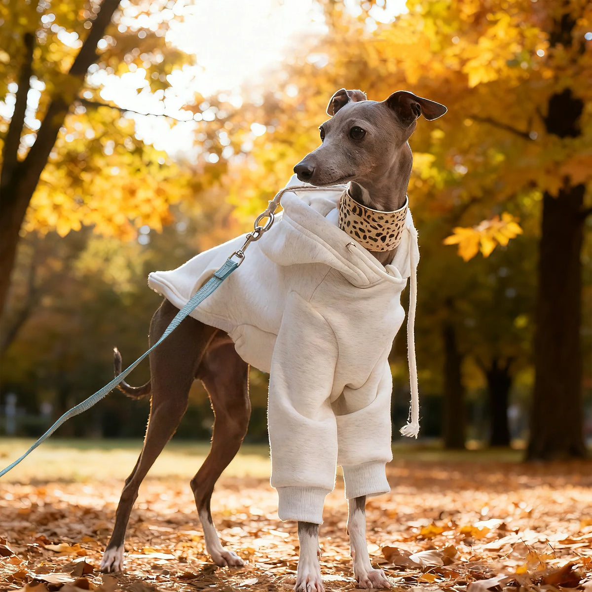 Fleece Greyhound Hoodie – Warm Long-Sleeve Winter Sweatshirt for Medium Dogs