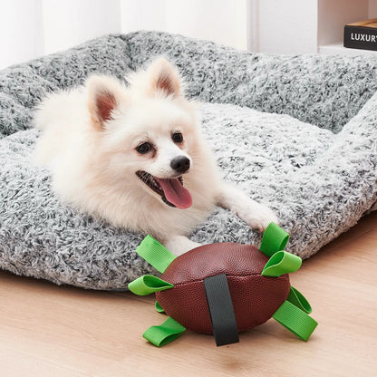 Interactive Football Dog Toy – Tug, Fetch & Water Play