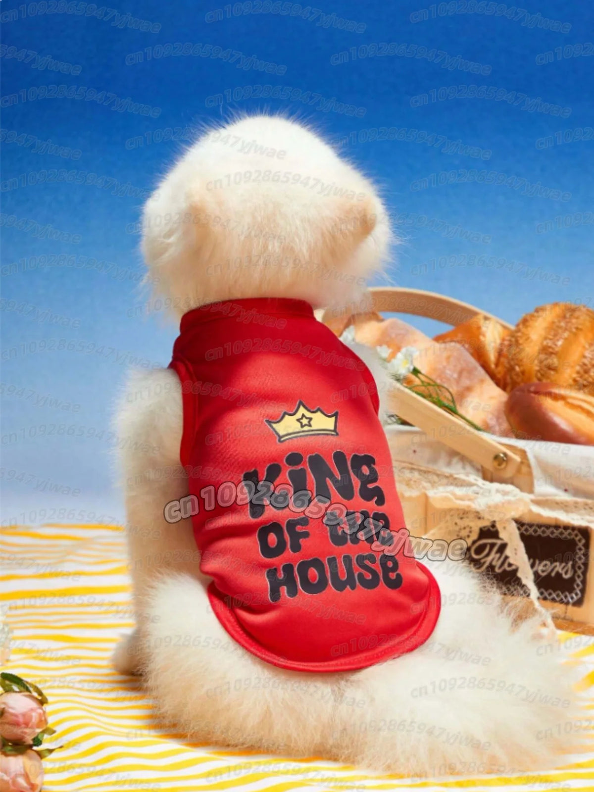 King of the House Pet Basketball Vest – Summer T-Shirt for Dogs & Cats