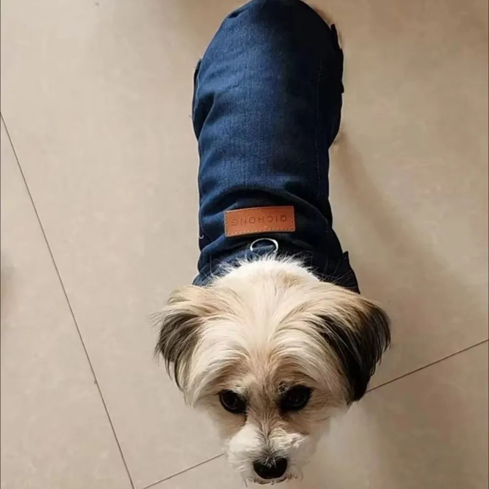 Denim Style Pet Winter Vest – Warm Windproof Coat with D-Ring for Dogs & Cats