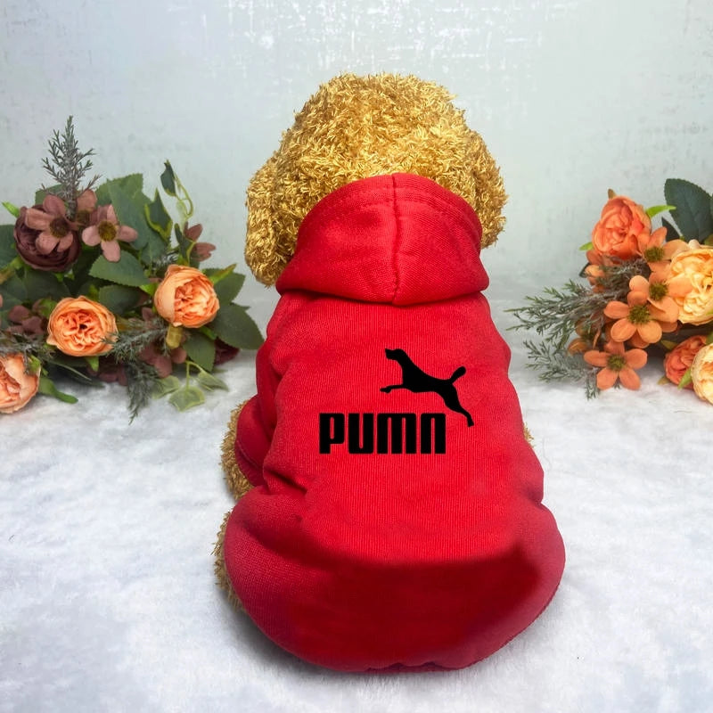 Sport Style Pet Hoodie – Warm Casual Sweatshirt for Dogs & Cats