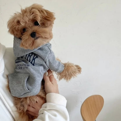 Letter Print Pet Hoodie – Soft Warm Pullover for Dogs & Cats