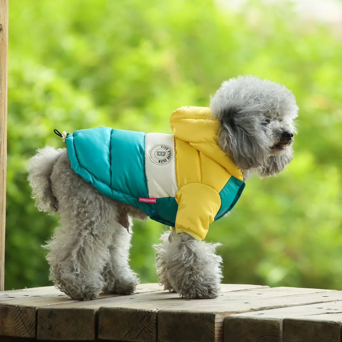 PP Cotton Dog Winter Jacket – Warm Padded Coat for Small & Medium Dogs