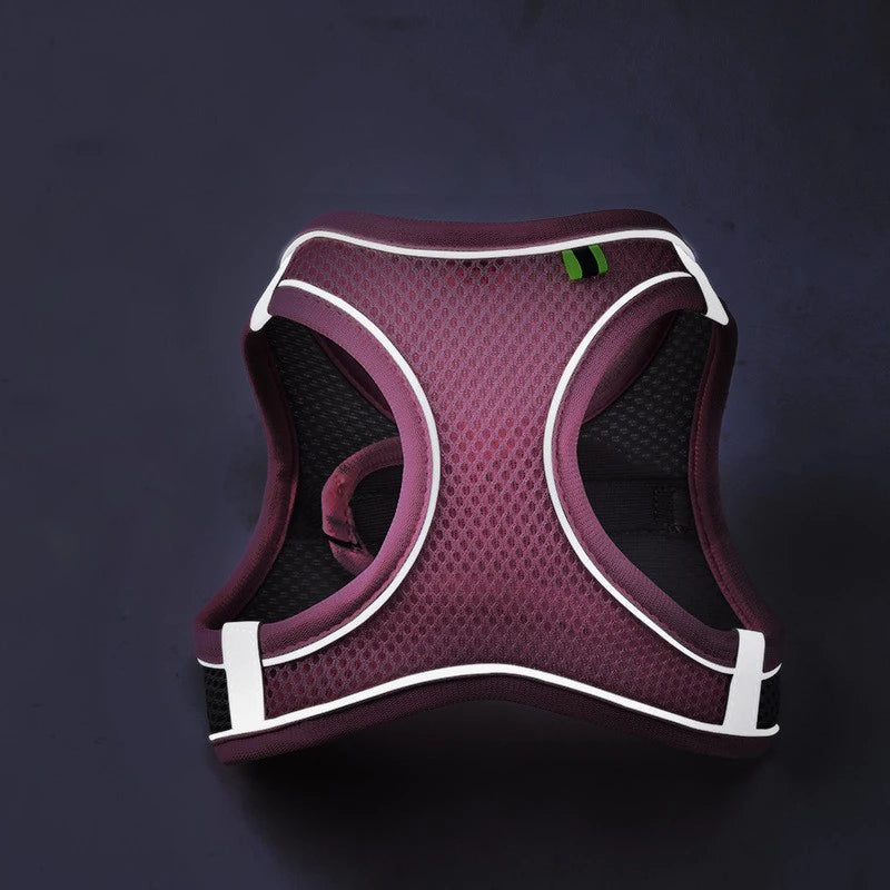 Reflective Pet Harness & Leash Set – Breathable Adjustable Vest