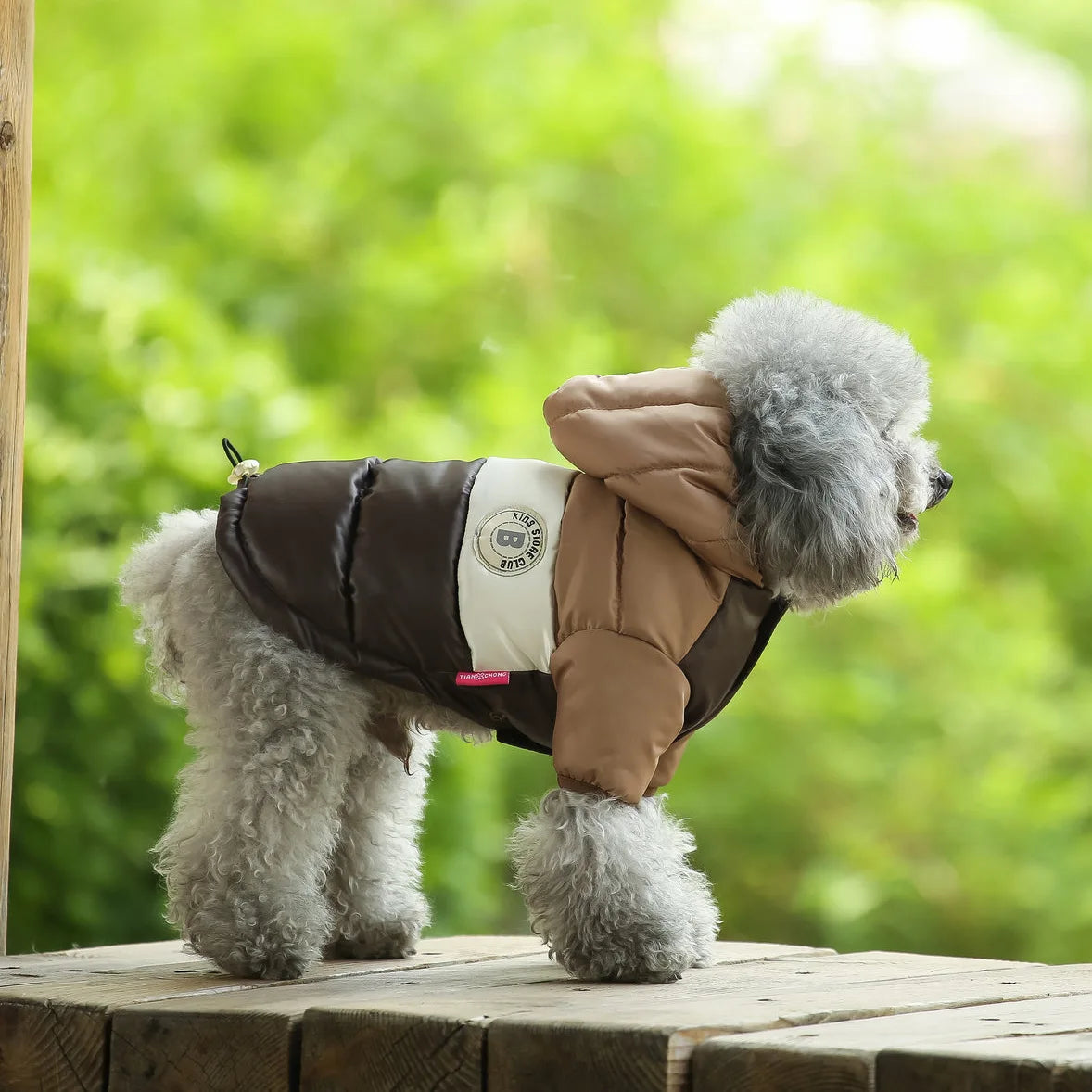 PP Cotton Dog Winter Jacket – Warm Padded Coat for Small & Medium Dogs