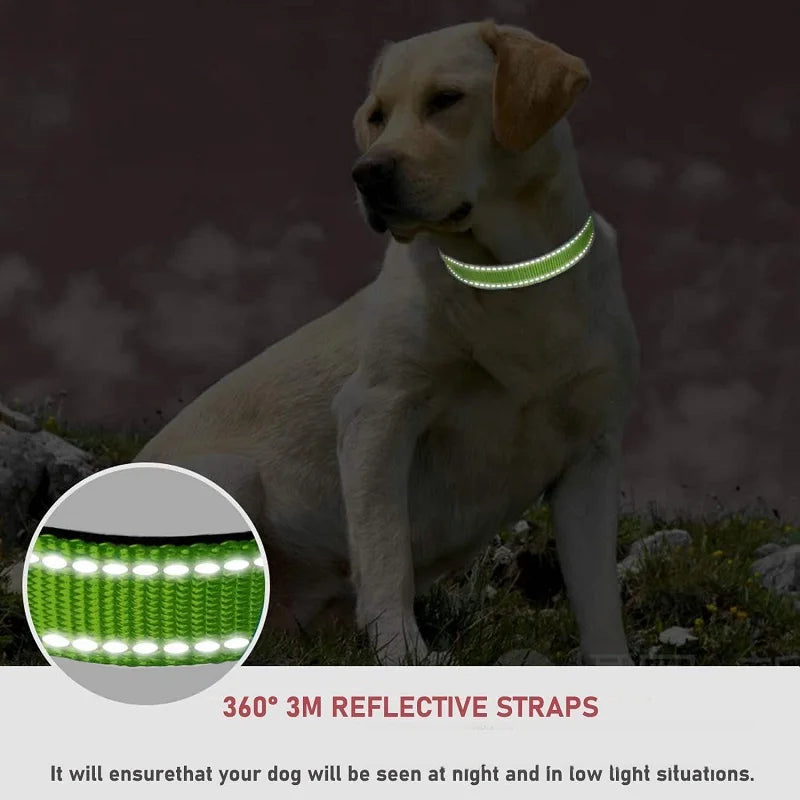 Stylish Choker Dog Collar – Decorative Puppy Neck Collar