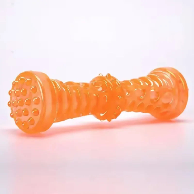 Bite-Resistant Toothbrush Bone – Dental Chew Dog Toy